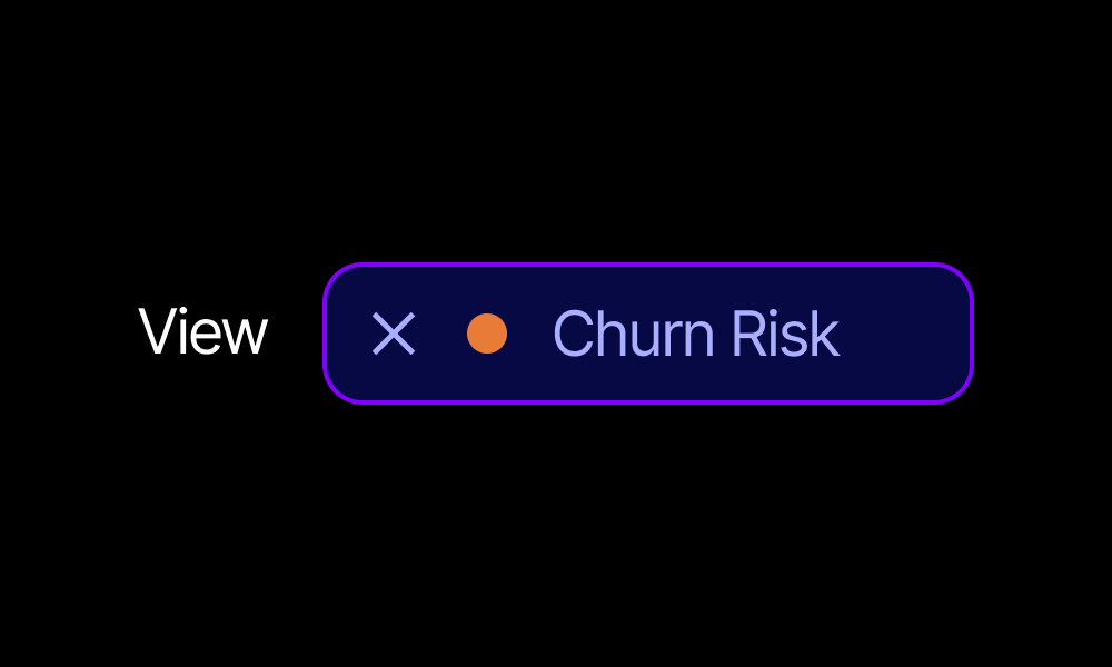 Predict Churn Risk